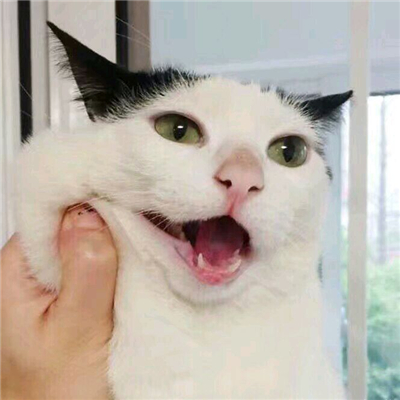 温馨情侣微信头像