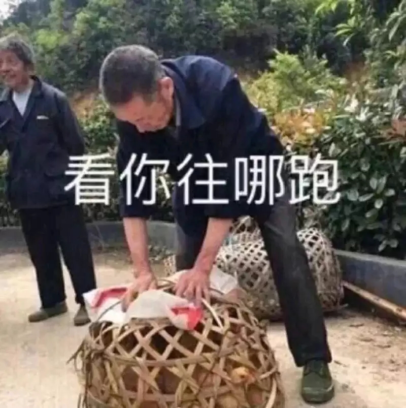 你快乐吗微信恶搞傻屌斗图表情包