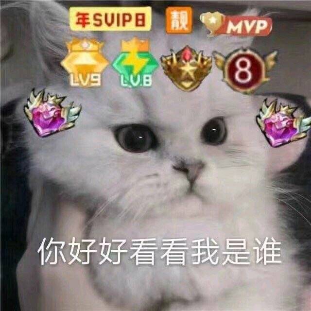 微信近期斗图恶搞表情包2019/4/15