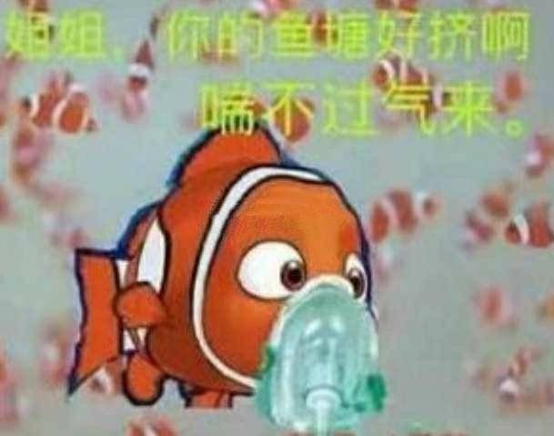 微信近期斗图恶搞表情包2019/4/15