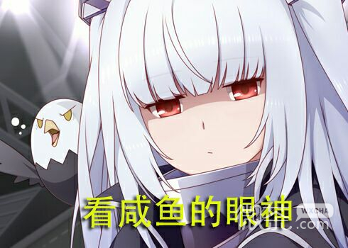 搞怪可爱微信二次元斗图表情包