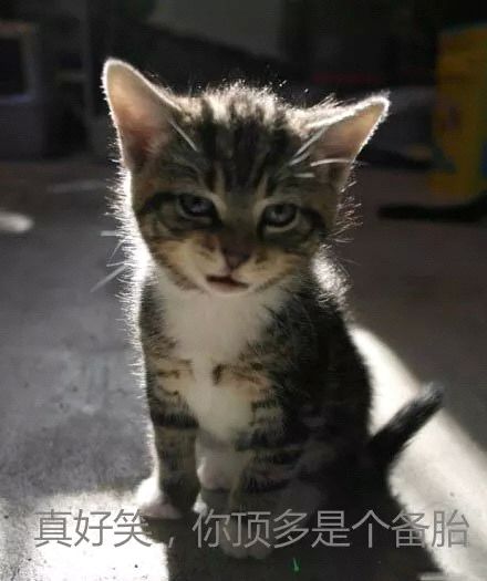 微信搞怪金馆长群聊杂图斗图表情包