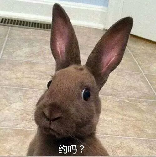 微信搞怪金馆长群聊杂图斗图表情包