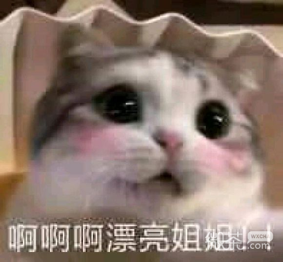 自闭微信恶搞搞怪逗比傻屌斗图表情包
