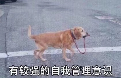 你快乐吗微信恶搞傻屌斗图表情包