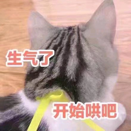 微信近期斗图恶搞表情包2019/4/16（二）
