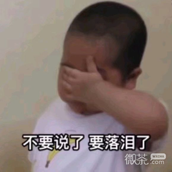 微信近期斗图恶搞表情包2019/4/16（二）