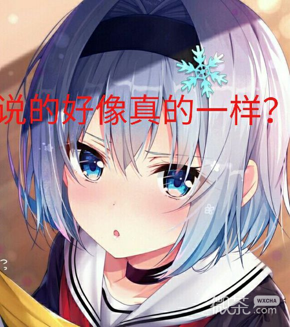 微信傻屌软萌二次元斗图表情包