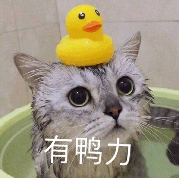 调侃斗图搞怪微信表情包