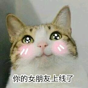 微信逗比搞怪喵星人表情包