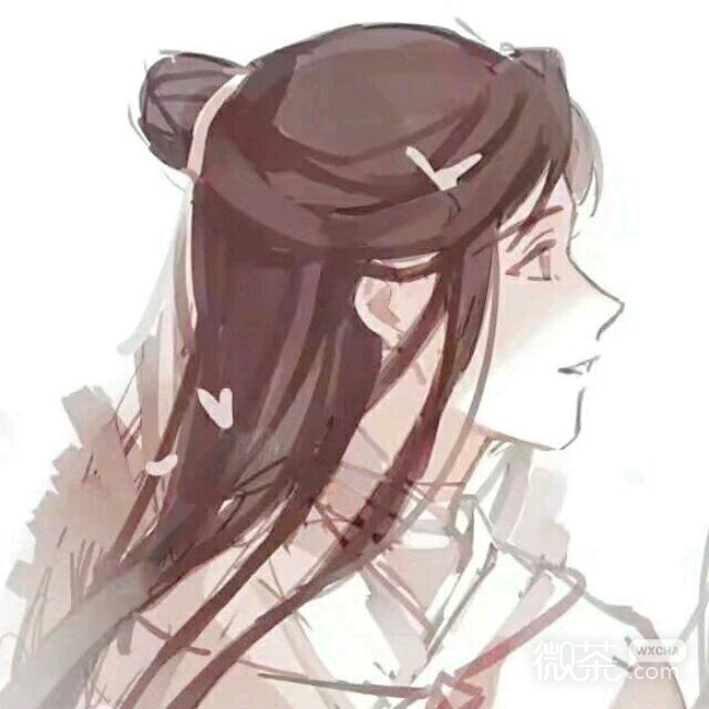 微信二次元重口味基友头像