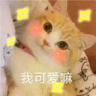 微信逗比搞怪喵星人表情包
