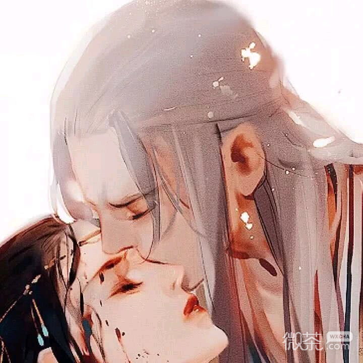 微信唯美好看二次元动漫情侣头像