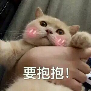 微信逗比搞怪喵星人表情包