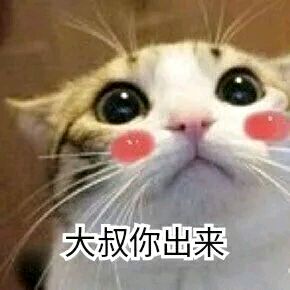 微信逗比搞怪喵星人表情包