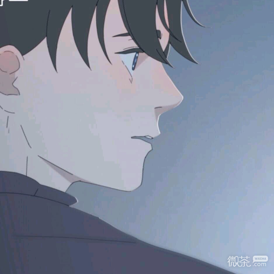 微信二次元重口味基友头像
