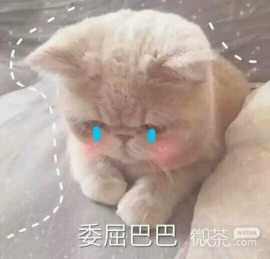 微信逗比搞怪喵星人表情包