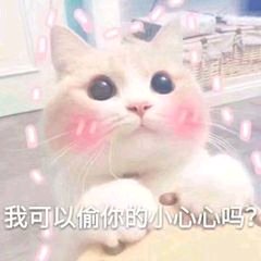 微信逗比搞怪喵星人表情包