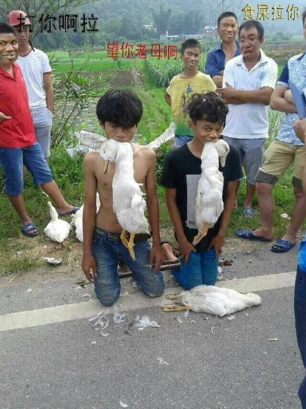 金馆长傻屌逗比微信斗图表情包