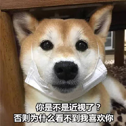 微信搞怪爆笑傻屌群聊斗图表情包