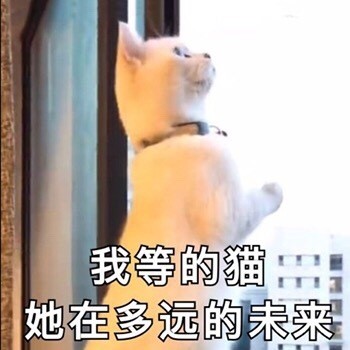微信搞怪爆笑傻屌群聊斗图表情包
