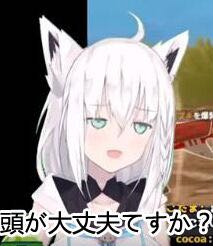 微信可爱动漫二次元斗图表情包