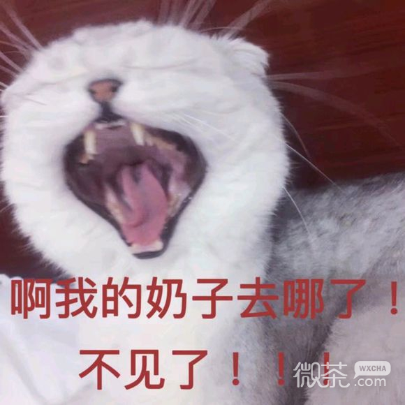 微信高糊傻屌逗比斗图表情包