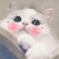 搞怪逗比斗图微信表情包