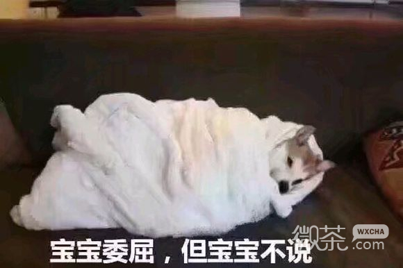 搞怪逗比斗图微信表情包