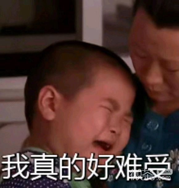 微信近期斗图恶搞表情包2019/4/19
