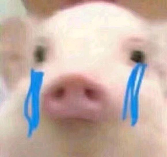 搞怪逗比斗图微信表情包