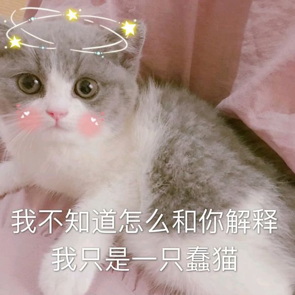 搞怪逗比斗图微信表情包