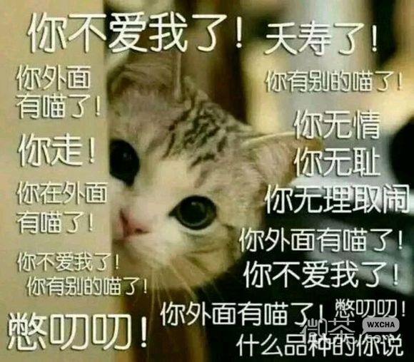 微信高糊傻屌逗比斗图表情包