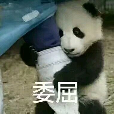 微信高糊傻屌逗比斗图表情包
