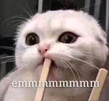 搞怪逗比斗图微信表情包