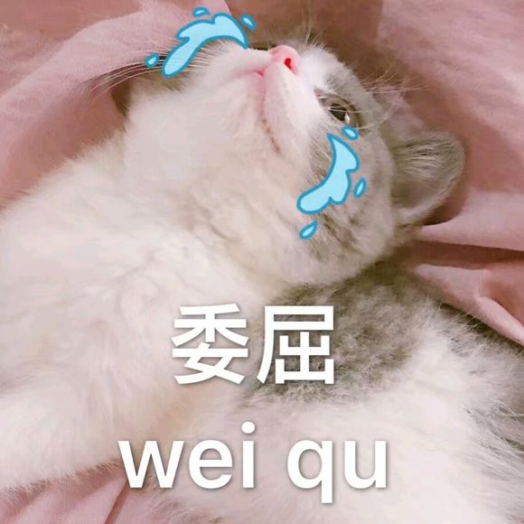 搞怪逗比斗图微信表情包