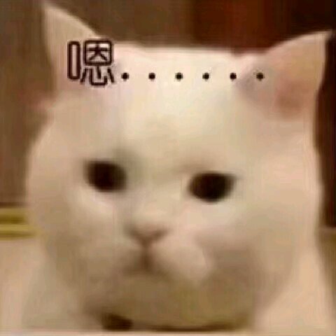 搞怪逗比斗图微信表情包