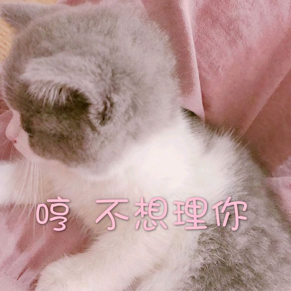 搞怪逗比斗图微信表情包