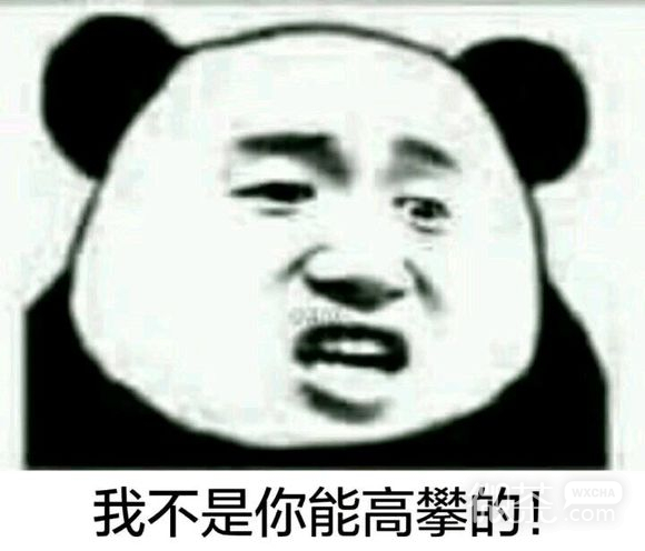 我生气了微信恶搞傻屌斗图表情包