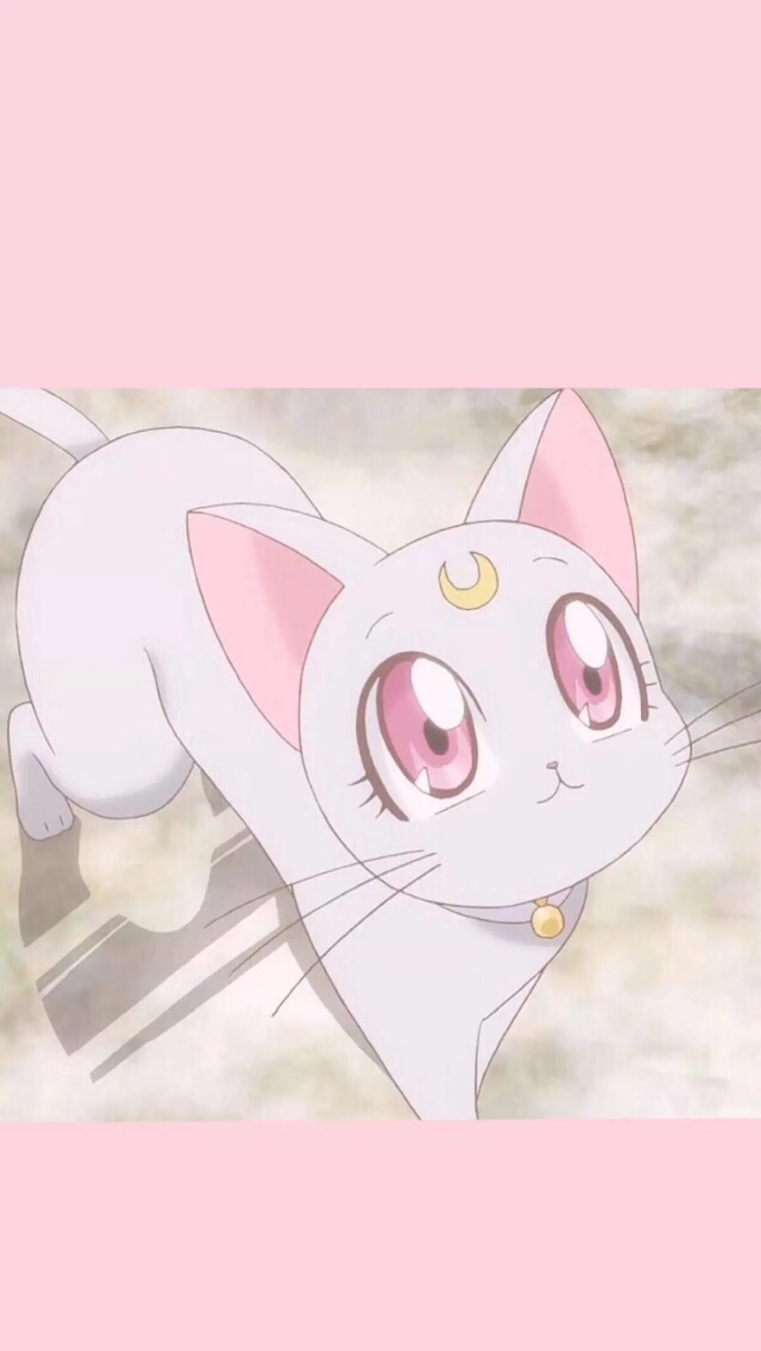 微信可爱卡通动漫壁纸