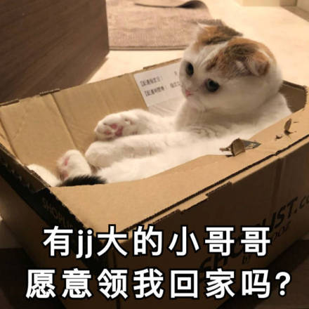 恶搞斗图傻屌微信表情包