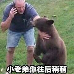 微信可爱搞怪宠物斗图表情包