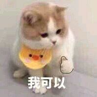 微信可爱搞怪宠物斗图表情包