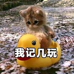 微信可爱搞怪宠物斗图表情包
