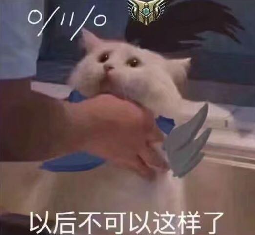 微信可爱搞怪宠物斗图表情包