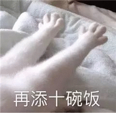 微信可爱搞怪宠物斗图表情包