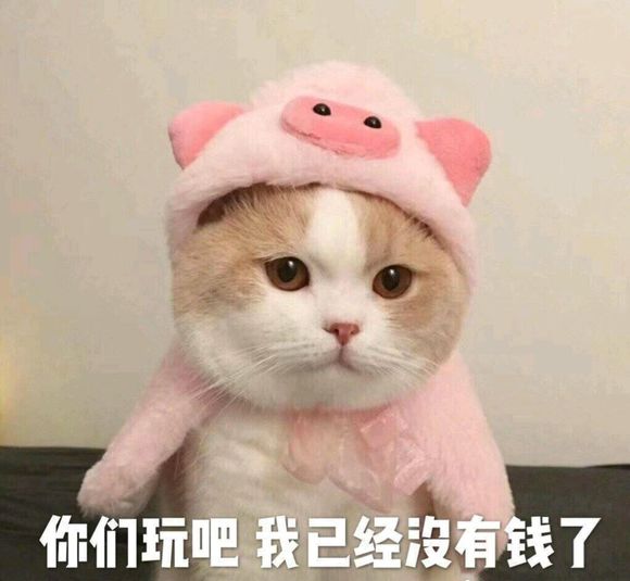 微信可爱搞怪宠物斗图表情包