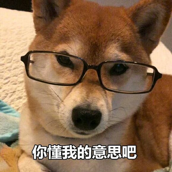 微信可爱搞怪宠物斗图表情包