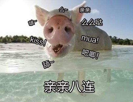 傻屌斗图表情包