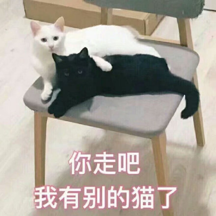 微信搞怪个性群聊斗图表情包